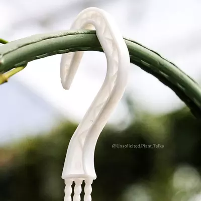 plant/Small Hanging Pot (pack of 20)-5-thumbnail