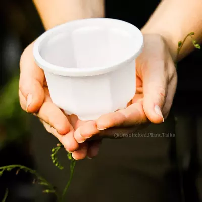 plant/Small Hanging Pot (pack of 20)-4-thumbnail