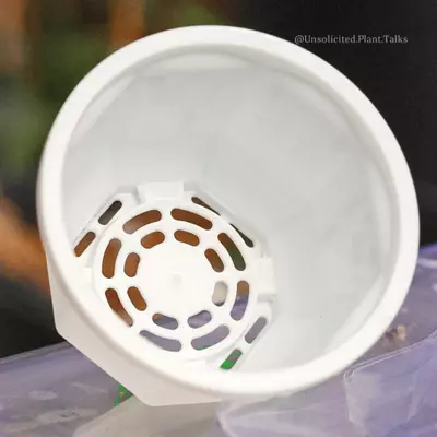 plant/Small Hanging Pot (pack of 20)-6-thumbnail