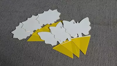 plant/6 packs Gnat Sticky Traps-0-thumbnail