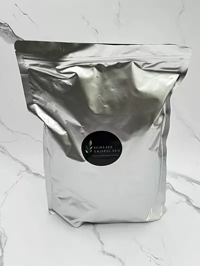 plant/Schlief Tropicals Hoya Media-0-thumbnail