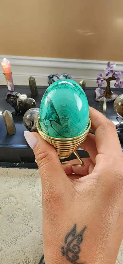 plant/Big Malachite egg w/holder-0-thumbnail