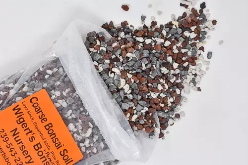 plant/One Gallon - Coarse Bonsai Soil Mix-0