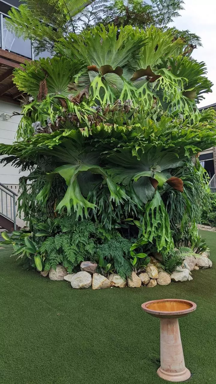 shipping_upgrade/UPS Next Day Upgrade-0