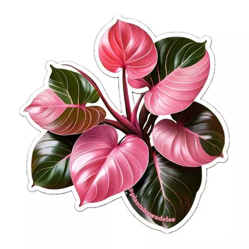 plant/Plants by Wade Lee Pink Princess 2.5 vinyl sticker-0