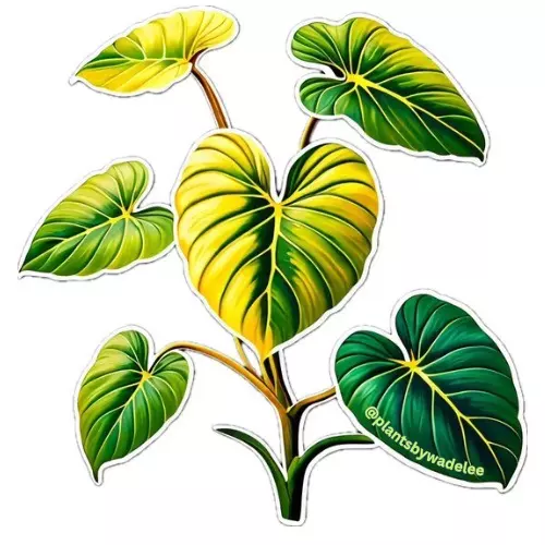 plant/Philodendron Summer Glory 2.5 Vinyl sticker-0
