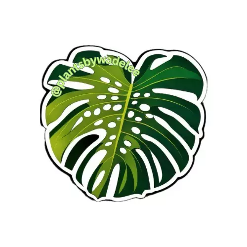 plant/Plants by Wade Lee Monstera 2.5 vinyl sticker-0