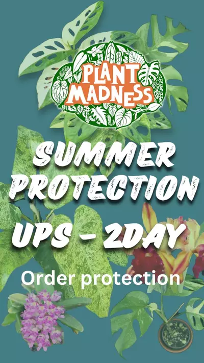 heat_pack/Weather Protection-0-thumbnail