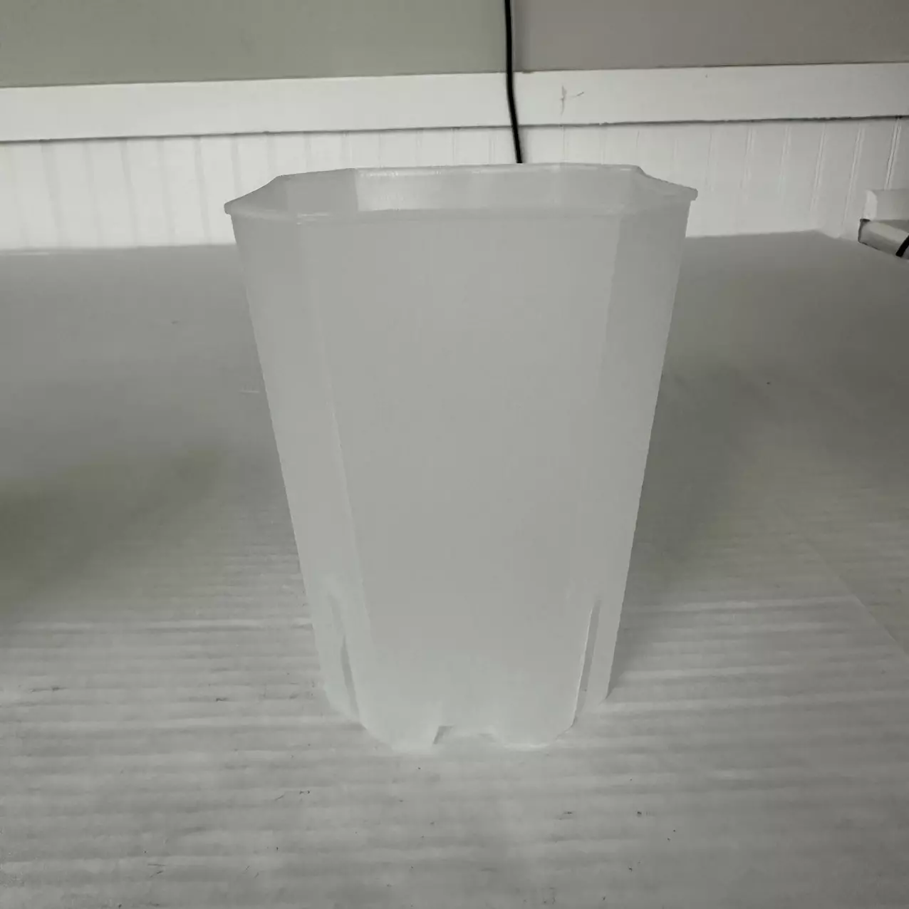 plant/5.5” Clear Pot Bundle of 3-0