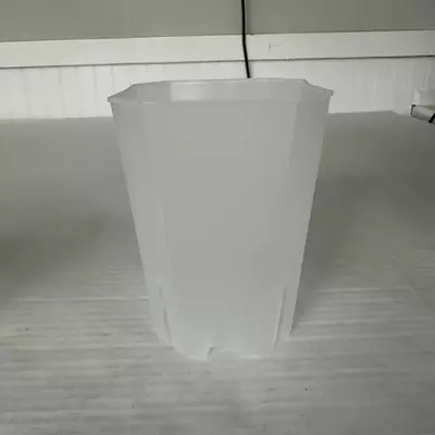 plant/5.5” Clear Pot Bundle of 3-0-thumbnail