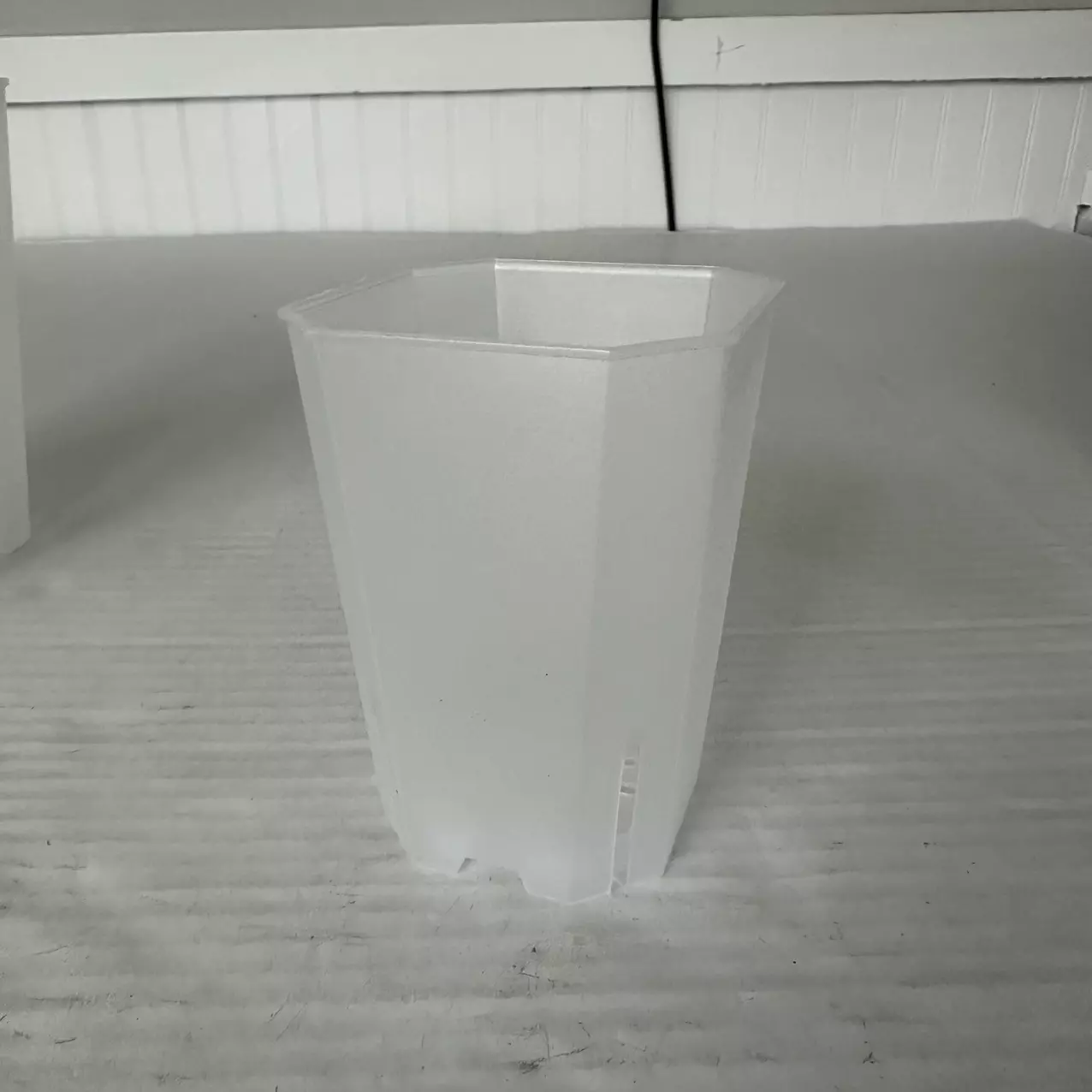 plant/4” Clear Pot Bunlde of 3-0