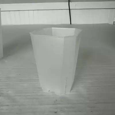 plant/4” Clear Pot Bunlde of 3-0-thumbnail