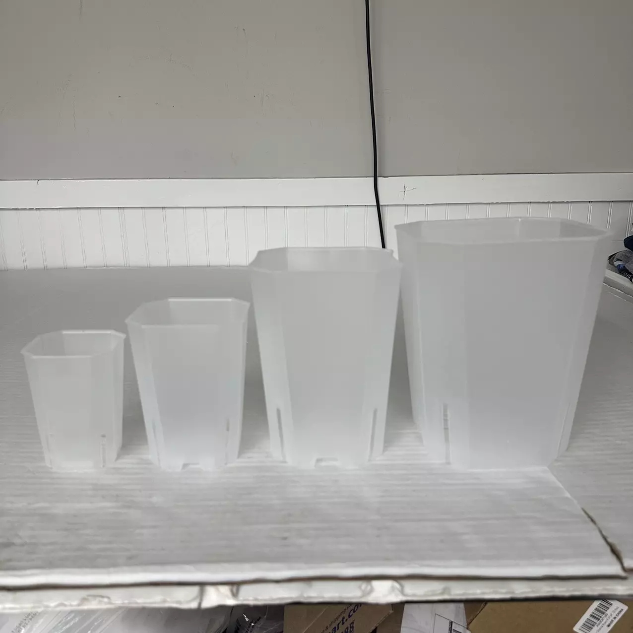 plant/All 4 Clear Pot Bundle!!!-0