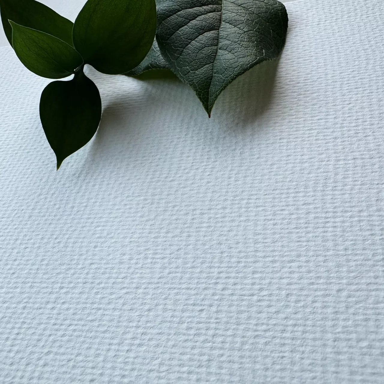 plant/Desai Art Watercolor Sketchbook-7