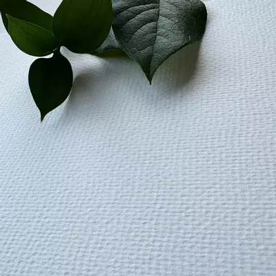 plant/Desai Art Watercolor Sketchbook-7-thumbnail