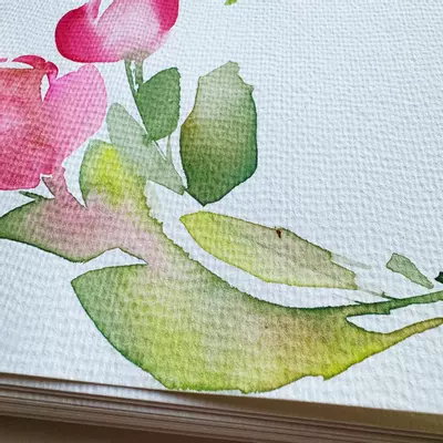 plant/Desai Art Watercolor Sketchbook-6-thumbnail