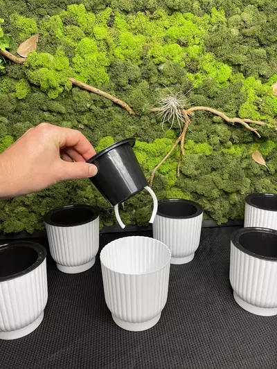 plant/3in self watering pots-0-thumbnail