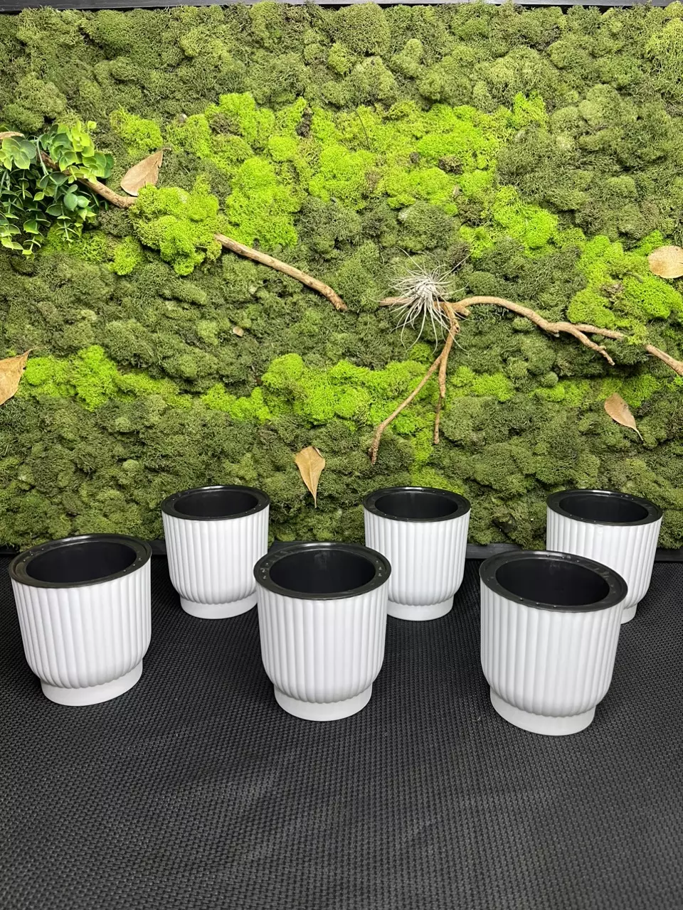 plant/3in self watering pots-1