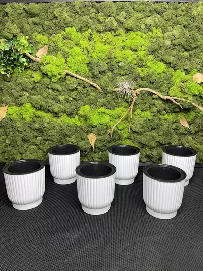 plant/3in self watering pots-1-thumbnail