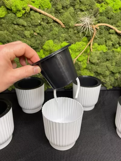 plant/3in self watering pots-2-thumbnail