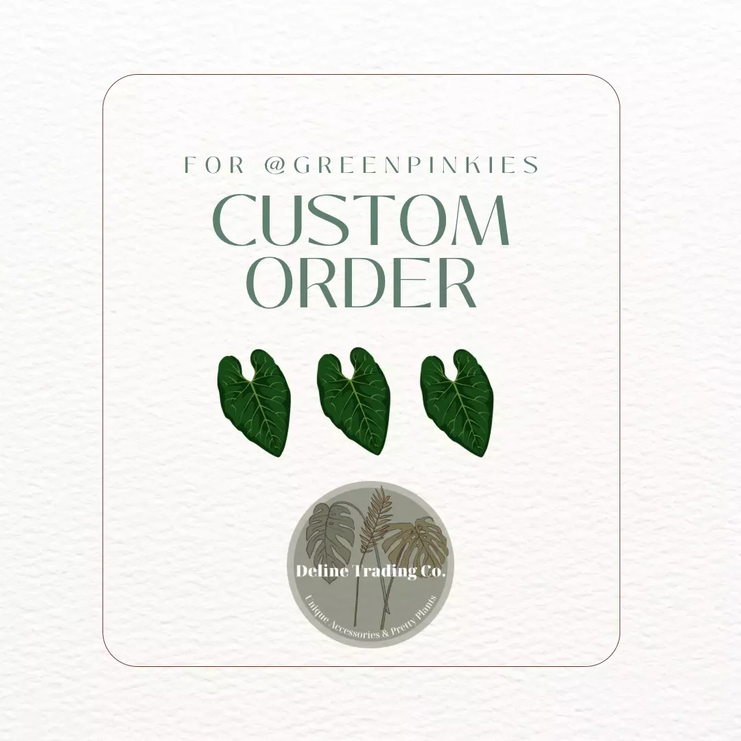 plant/Custom Order for @GreenPinkies-0