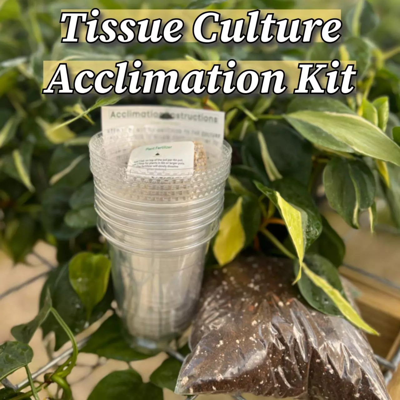 plant/Tissue Culture Acclimation Kit-0
