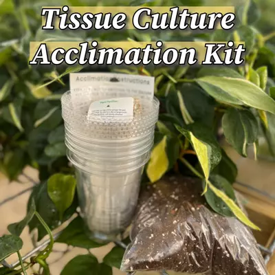 plant/Tissue Culture Acclimation Kit-0-thumbnail