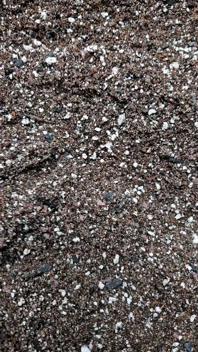 plant/Cactus Soil-3-thumbnail