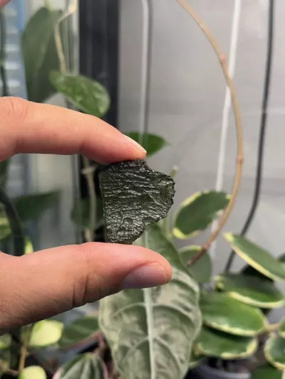 plant/Moldavite Chunk-5-thumbnail