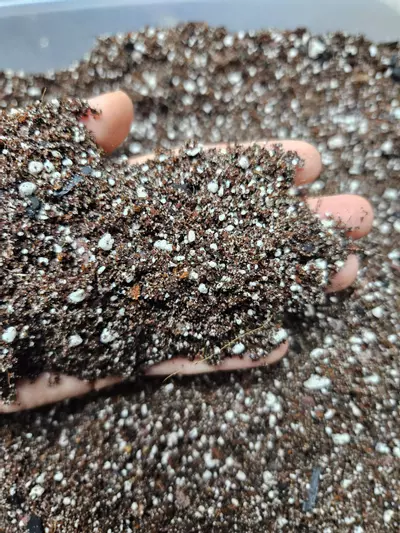 plant/Cactus Soil-2-thumbnail