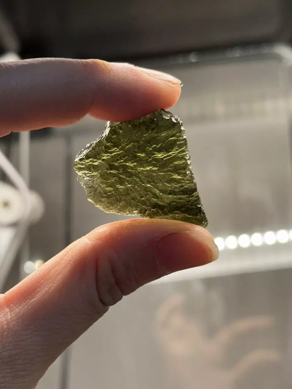 plant/Moldavite Chunk-1