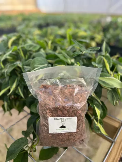 plant/Orange Lake Nursery Chunky Coco Husk-2-thumbnail