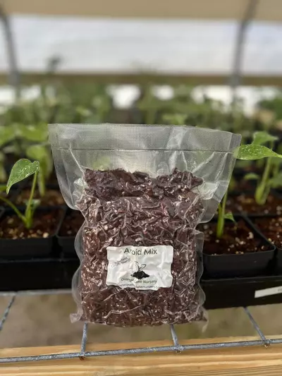 plant/Orange Lake Nursery Aroid Mix-2-thumbnail