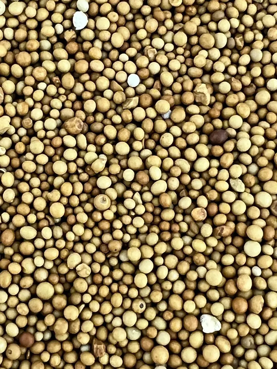 plant/Orange Lake Nursery Plant Fertilizer-0