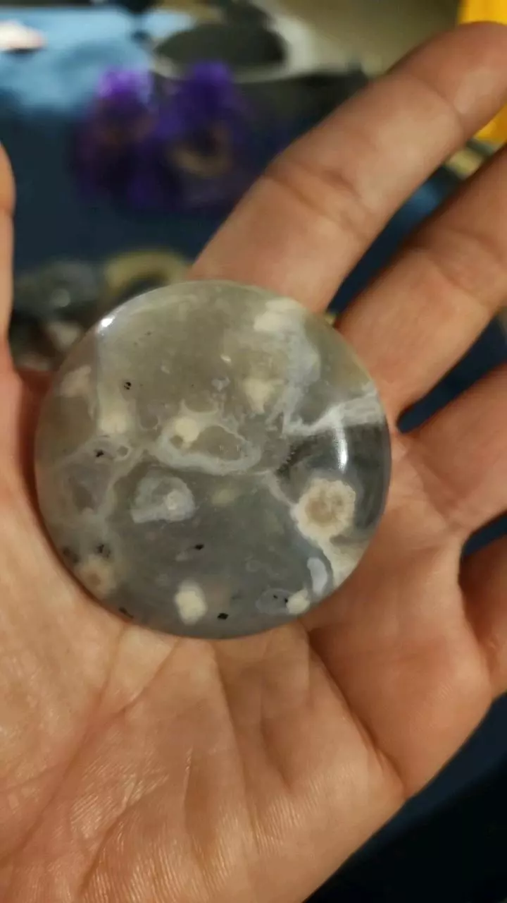 plant/Black flower agate circle-2