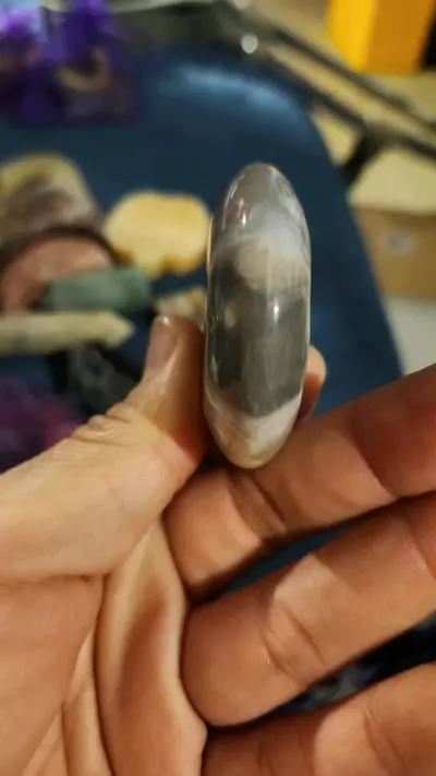 plant/Black flower agate circle-1-thumbnail