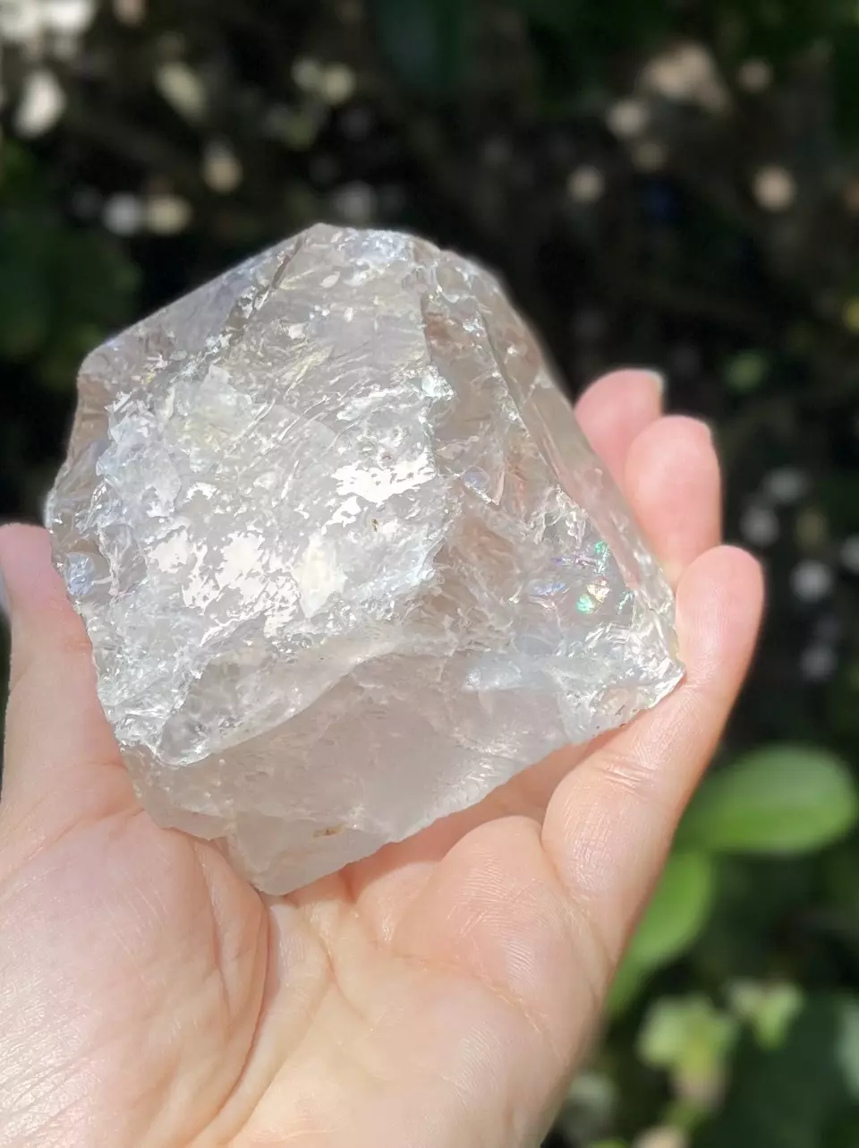 plant/Smoky Quartz Point Base Cut-1