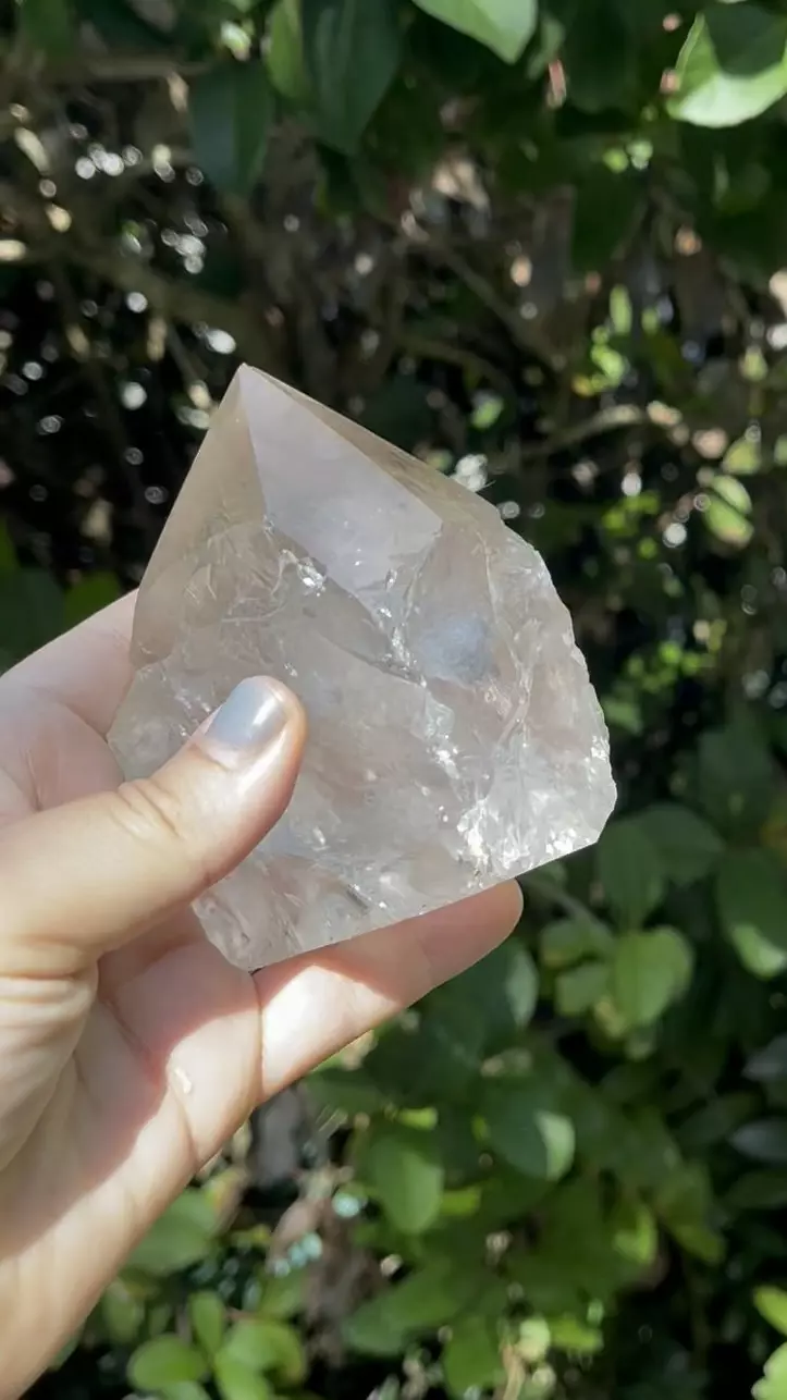 plant/Smoky Quartz Point Base Cut-8