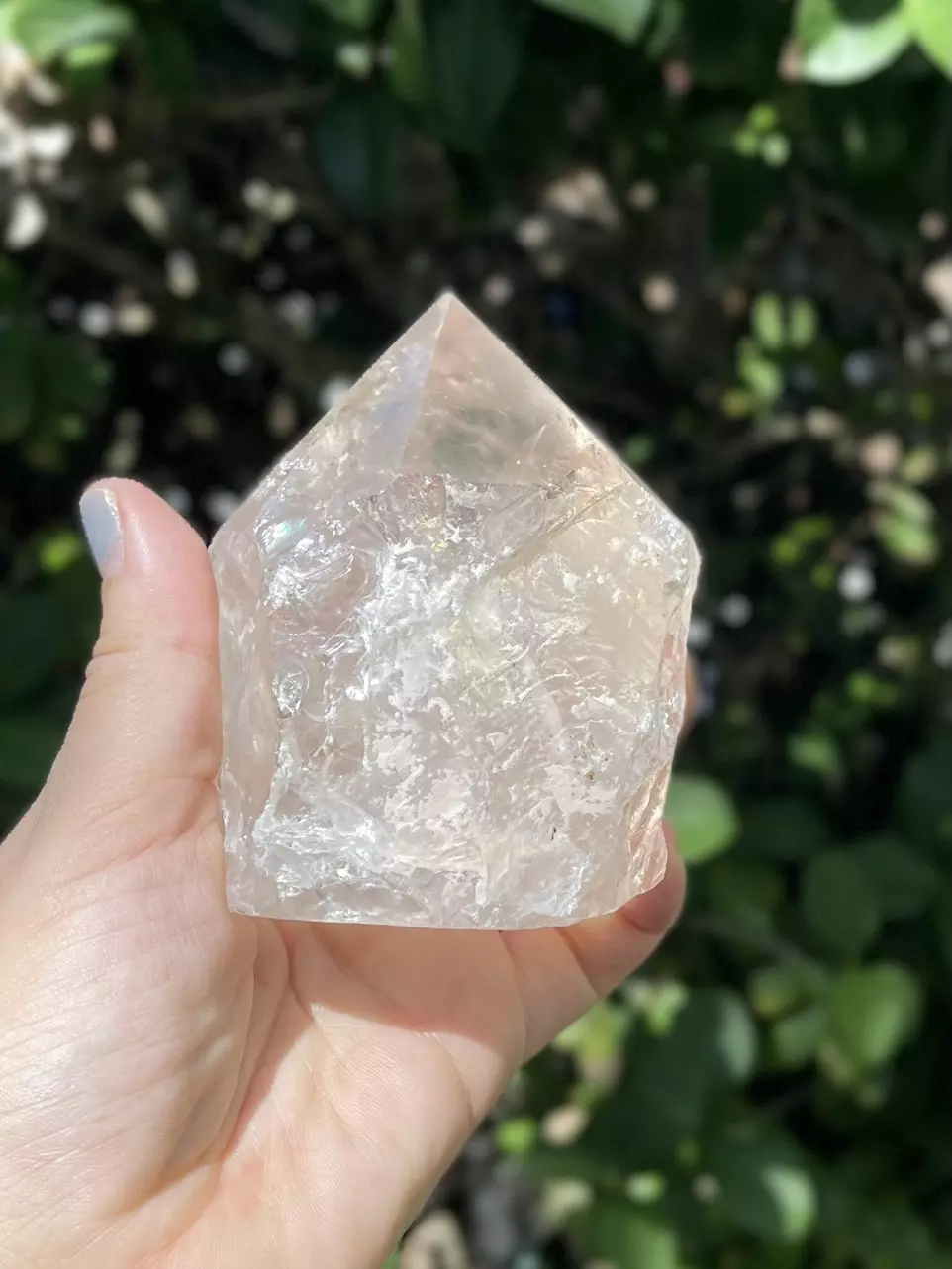 plant/Smoky Quartz Point Base Cut-0