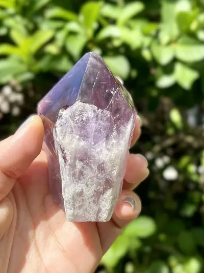 plant/Phantom Amethyst Point Base Cut -Grade A-4-thumbnail