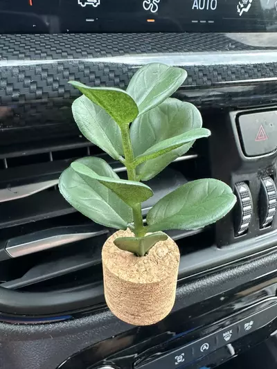 plant/Ficus Vroom Blooms Plant Car Vent Diffuser-0-thumbnail