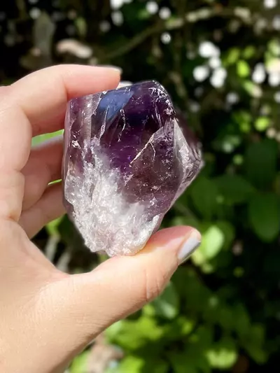 plant/Phantom Amethyst Point Base Cut -Grade A-6-thumbnail