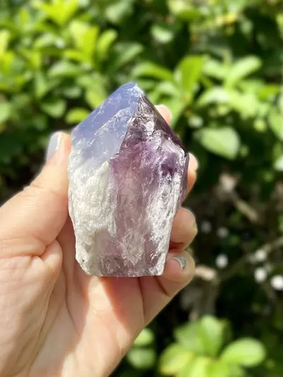 plant/Phantom Amethyst Point Base Cut -Grade A-3-thumbnail