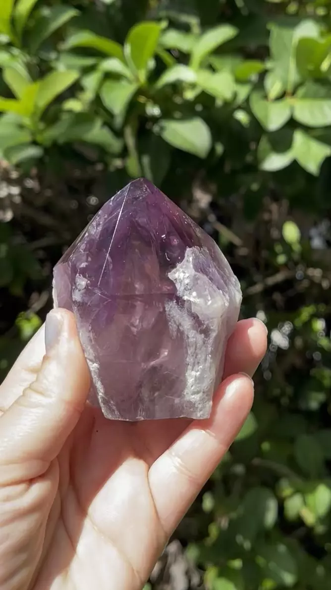 plant/Phantom Amethyst Point Base Cut -Grade A-8