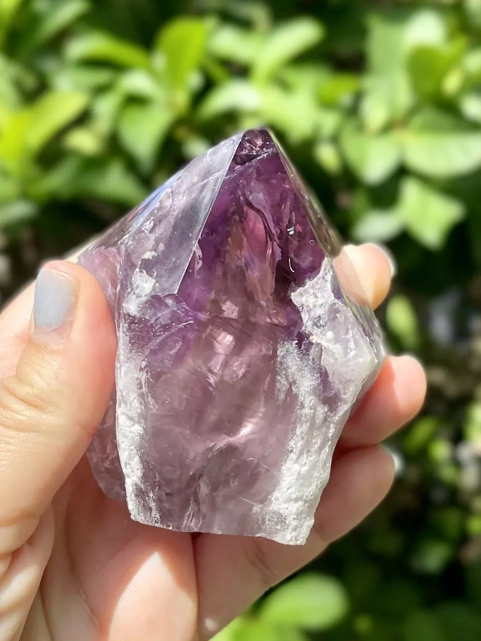 plant/Phantom Amethyst Point Base Cut -Grade A-1
