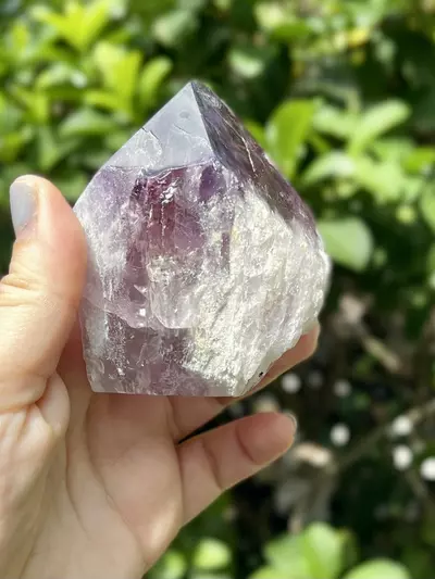 plant/Phantom Amethyst Point Base Cut -Grade A-5-thumbnail