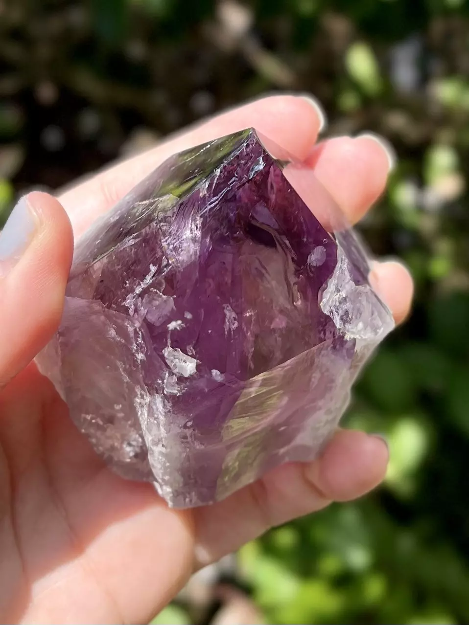 plant/Phantom Amethyst Point Base Cut -Grade A-0