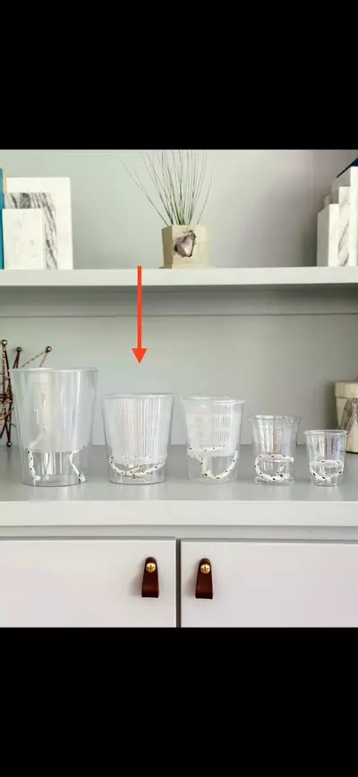 plant/Clear Self Watering Pots C quantity 1-0-thumbnail