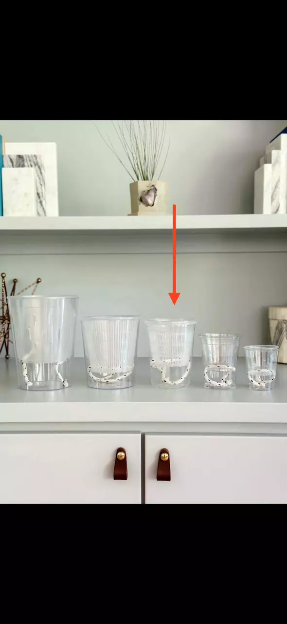 plant/Clear Self Watering Planter medium Quantity 1-0