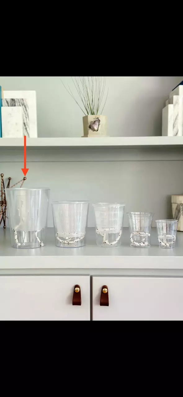 plant/Clear Self watering planter D quantity 1-0